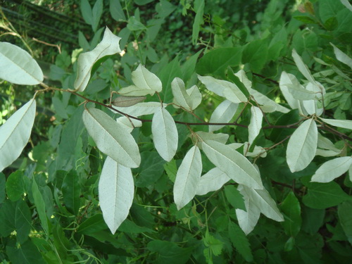 3044am永利集团官网