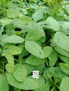 3044am永利集团官网