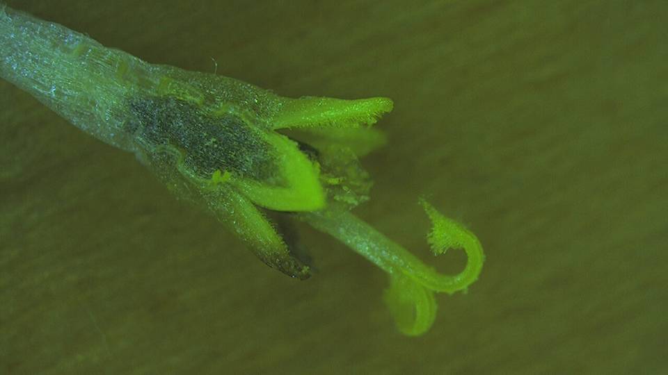 3044am永利集团官网