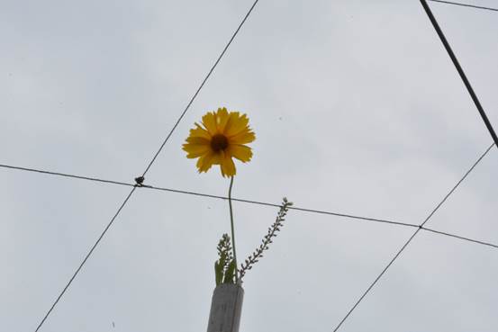 3044am永利集团官网