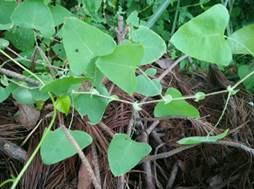 3044am永利集团官网