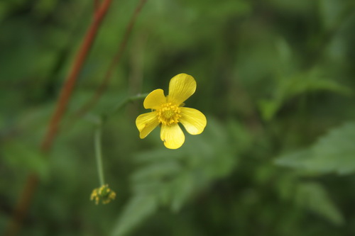 3044am永利集团官网