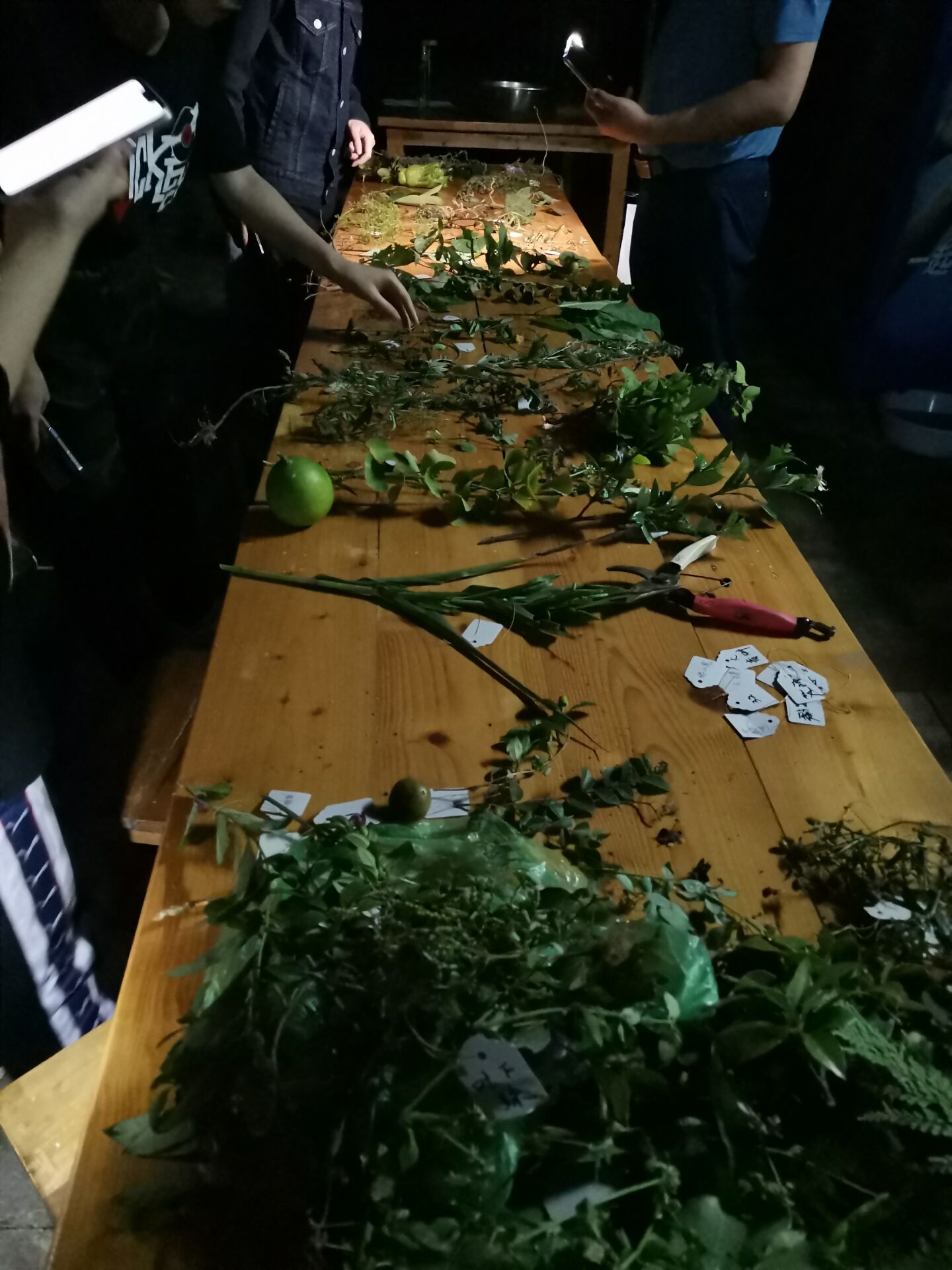 3044am永利集团官网