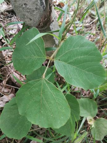 3044am永利集团官网