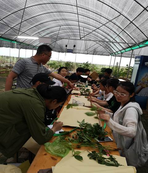 3044am永利集团官网