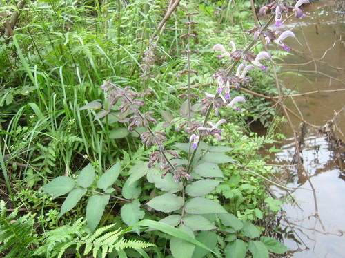 3044am永利集团官网