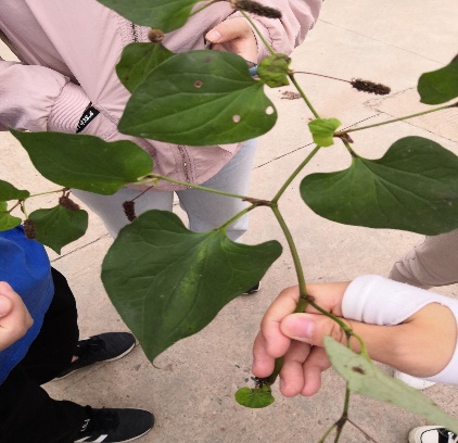 3044am永利集团官网