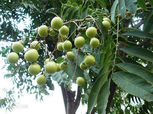 3044am永利集团官网