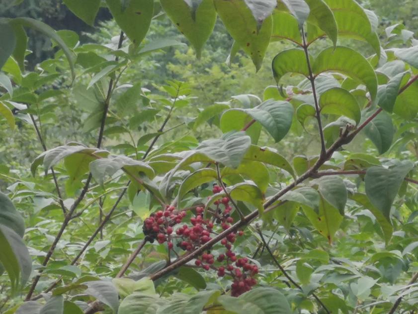 3044am永利集团官网