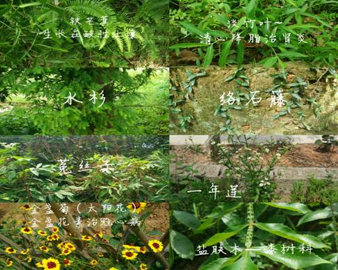 3044am永利集团官网