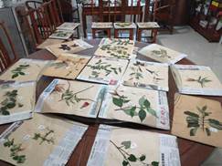 3044am永利集团官网