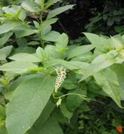 3044am永利集团官网