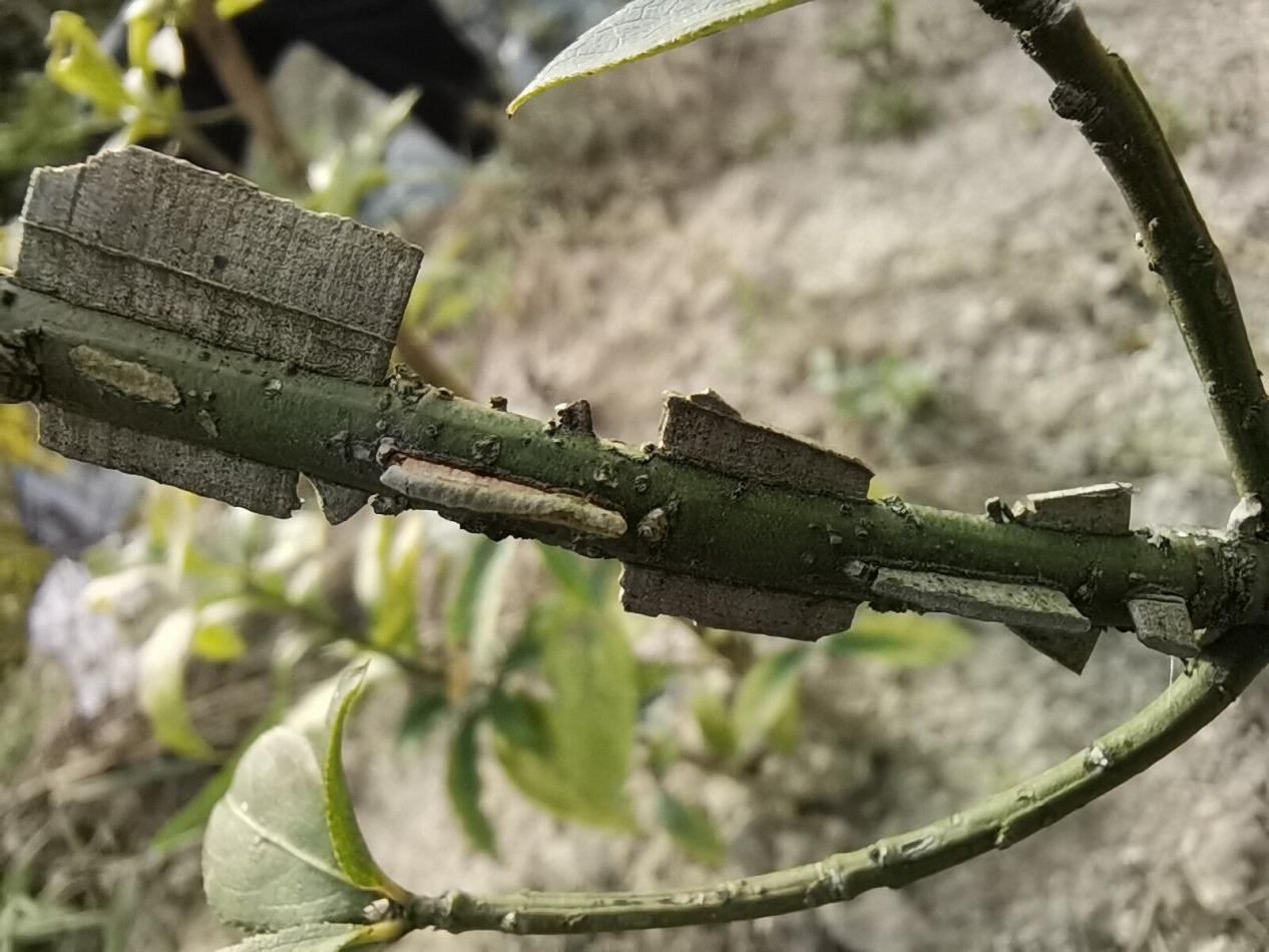 3044am永利集团官网