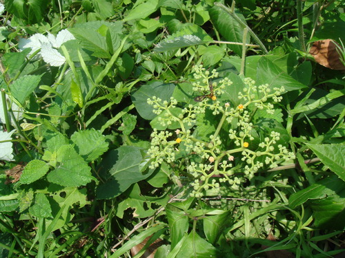 3044am永利集团官网