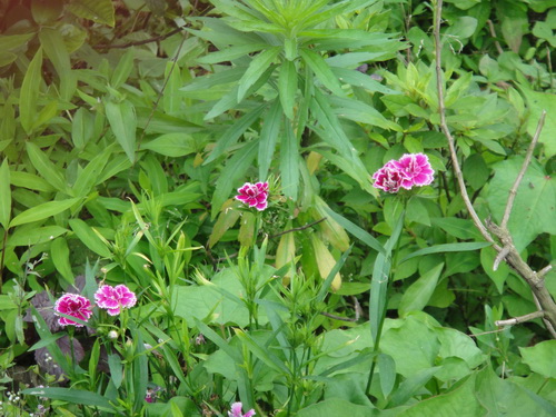 3044am永利集团官网