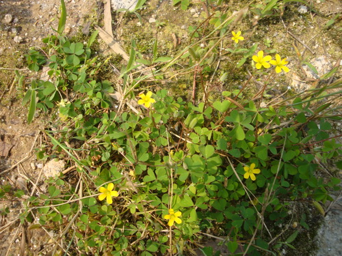 3044am永利集团官网