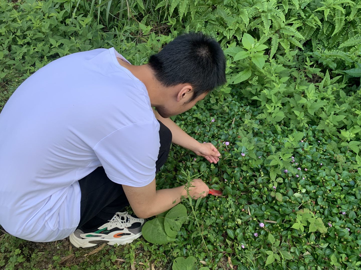 3044am永利集团官网