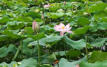 3044am永利集团官网