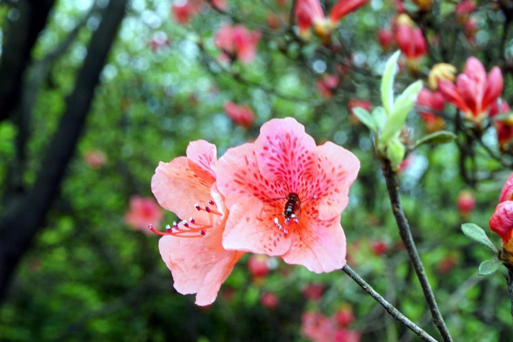 3044am永利集团官网