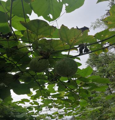 3044am永利集团官网