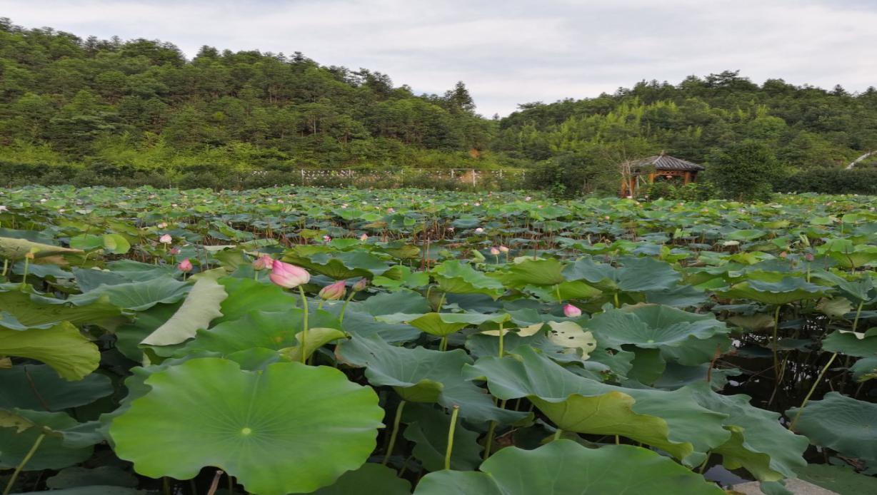3044am永利集团官网