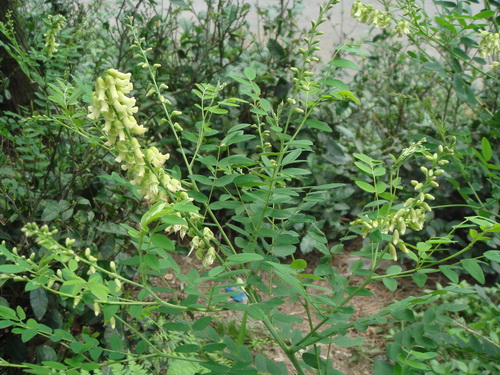 3044am永利集团官网