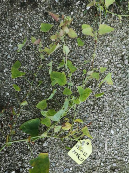 3044am永利集团官网