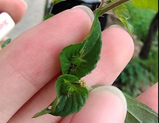 3044am永利集团官网