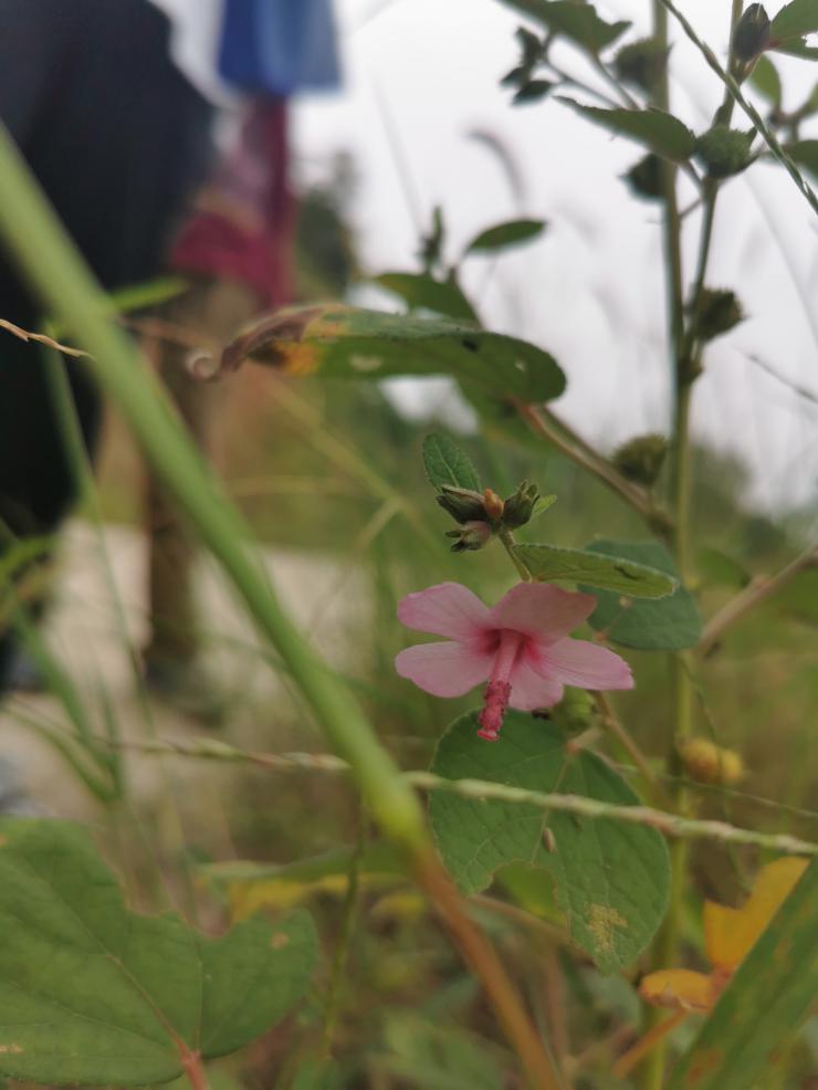 3044am永利集团官网