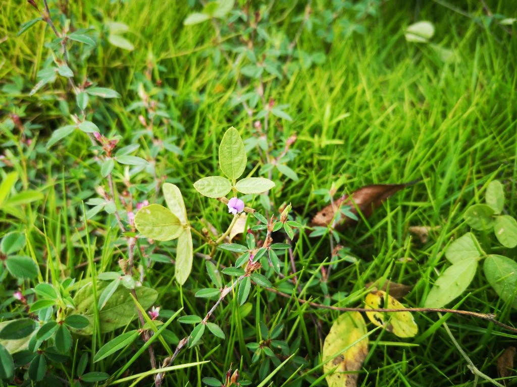 3044am永利集团官网