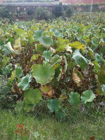 3044am永利集团官网