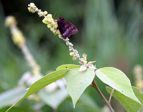 3044am永利集团官网