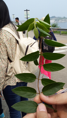 3044am永利集团官网