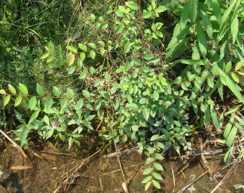 3044am永利集团官网