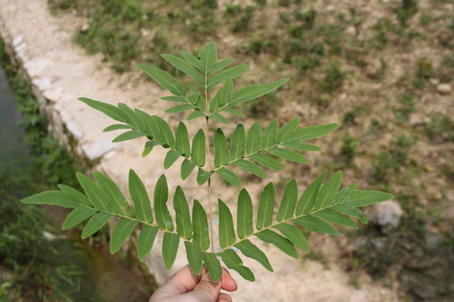 3044am永利集团官网