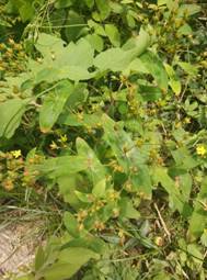 3044am永利集团官网