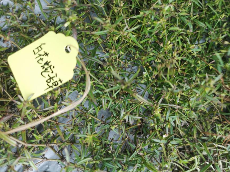 3044am永利集团官网