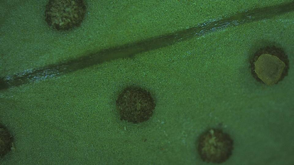 3044am永利集团官网