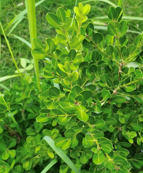 3044am永利集团官网