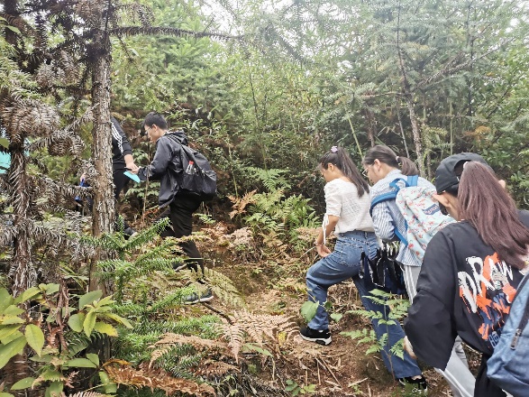 3044am永利集团官网