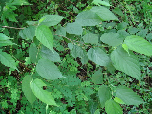 3044am永利集团官网