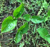 3044am永利集团官网