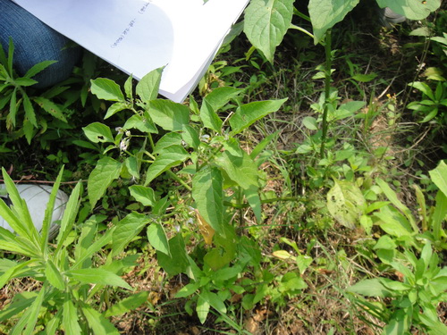 3044am永利集团官网