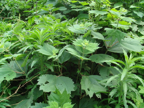 3044am永利集团官网