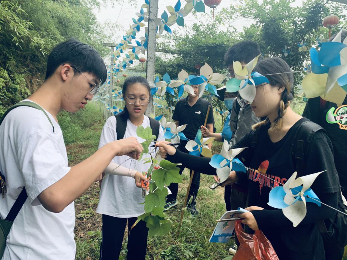 3044am永利集团官网