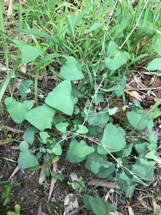 3044am永利集团官网