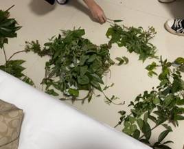 3044am永利集团官网