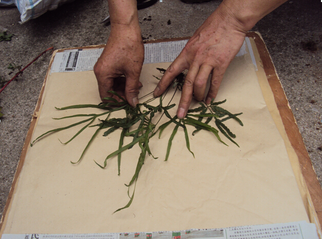 3044am永利集团官网