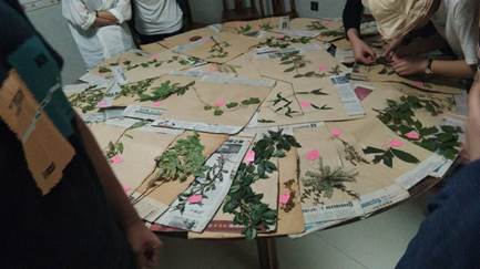 3044am永利集团官网