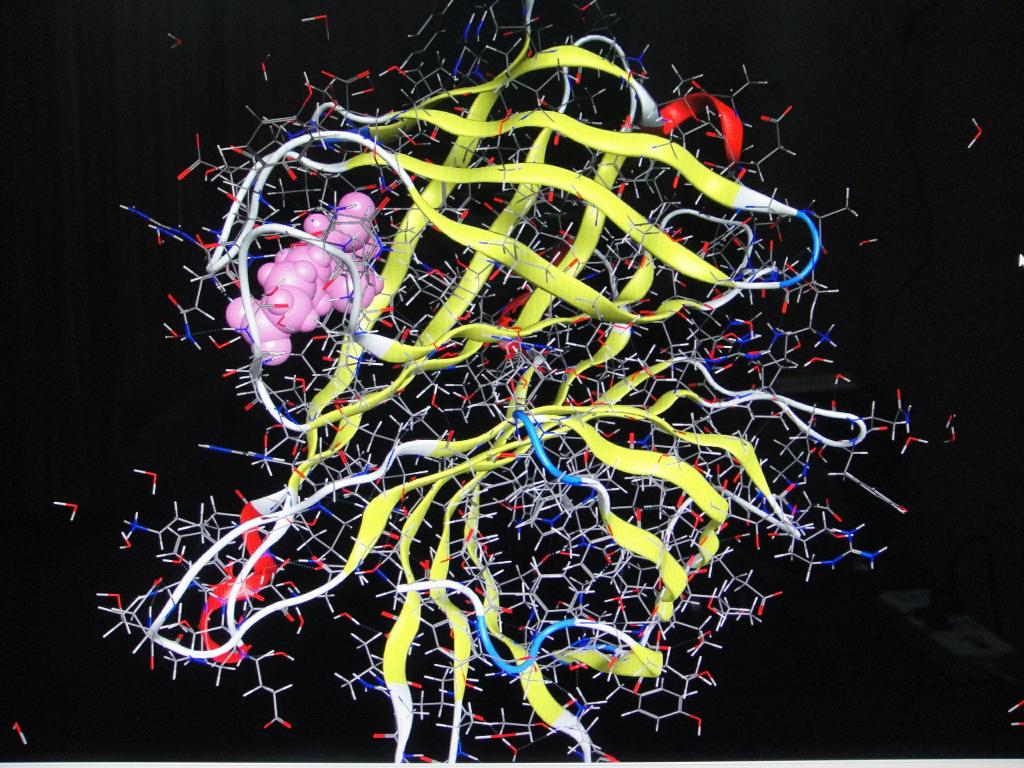 3044am永利集团官网